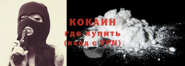 соль ск Абаза