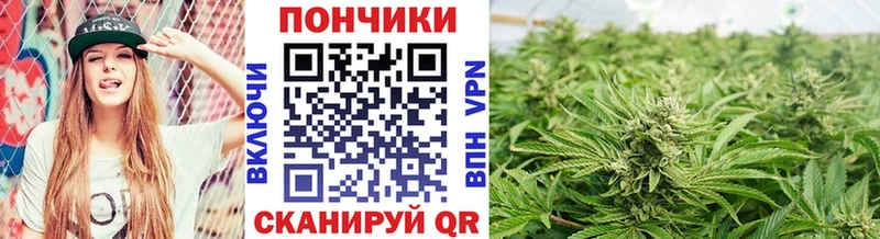 Бошки марихуана LSD WEED  наркотики  ОМГ ОМГ ссылка  Серафимович 
